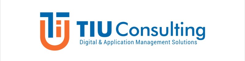 TIU Consulting